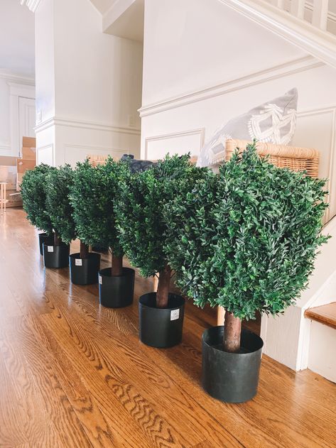 Front Porch Boxwood Planters, Artificial Boxwood Hedge, Artificial Bushes Outdoor, Best Faux Outdoor Plants, Faux Outdoor Plants Porches, Faux Plant Landscaping, Faux Bushes Outdoor, Fake Bushes In Yard, Artificial Plants Outdoor Garden Ideas