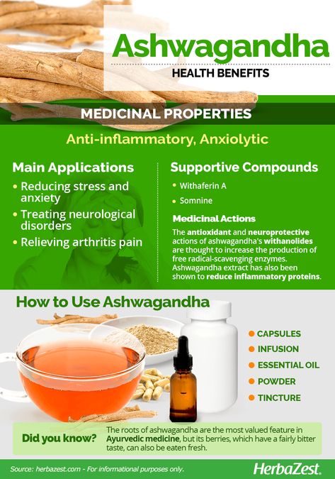 Ashwagandha | HerbaZest Ashwaghanda Benefits For Women, How To Take Ashwagandha Powder, Ashgawanda Benefits Women, Ashwangdha Benefits, Ashwagandha Benefits Men, Ashwagandha Benefits And Side Effects, Best Time To Take Ashwagandha, Ashawangda Benefits For Women, Ashgawanda Benefits