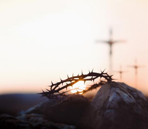 Jesus Cross Images, Golgotha Hill, Passion Of Christ Images, Jesus Passion, Jesus Crown, Jesus Christ Cross, Image Paper, The Cross Of Christ, Crown Of Thorns