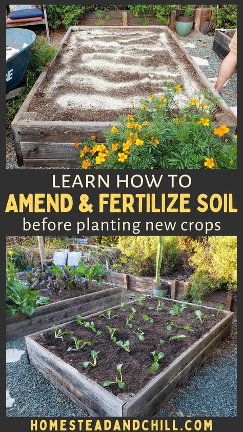 How To Make Healthy Garden Soil, Preparing Soil For Planting, How To Prepare Garden Soil For Planting, Adding Nutrients To Garden Soil, In Bed Composting, How To Prep Soil For Vegetable Garden, How To Prepare Soil For Vegetable Garden, Amending Soil In Raised Beds, Soil Prep For Vegetable Garden