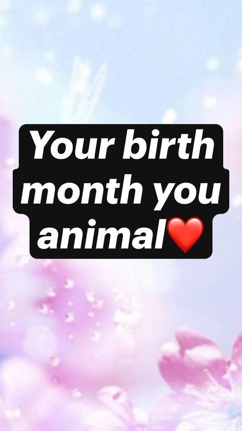 Your birth month you animal❤️ in 2022 | Birth month, Birthday month, Funny minion quotes Zodiac Signs Dates Births Birthday, Your Birth Month Is Your, Ava Random, Sleepover Essentials, Tortoise Enclosure, Best Friend Activities, Friend Activities, Zodiac Signs Leo, Zodiac Signs Dates