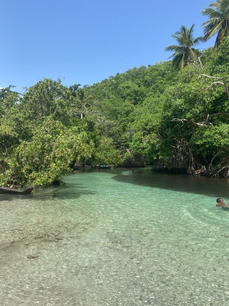 Beautiful river in the Dominican Republic Beautiful River, Green Travel, The Dominican Republic, Dominican Republic, Cyberpunk, Collage, Green, Travel, Pins