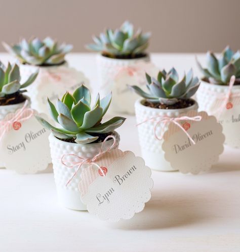 Succulent Placecards Favour Ideas, Succulent Wedding Favors, Wedding Favors And Gifts, Rustic Wedding Decorations, Succulent Favors, Wedding Giveaways, Wedding Favors Cheap, Succulent Wedding, Favors Diy