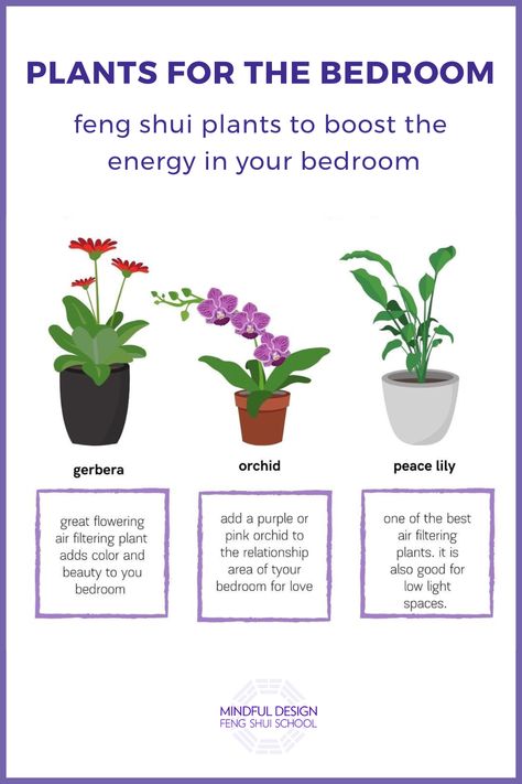 Drawings of gerbera, orchid, peace lily plants with a description of each. Best Feng Shui Plants, Feng Shui Bedroom Plants, Feng Shui Outdoor Space, Feng Shui Apartment Layout, Room Feng Shui Bedroom, Fung Shway Bedroom, Feng Shui Bedroom Decoration, Feng Shui Kitchen Layout, Feng Shui House Layout