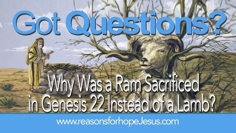 Genesis 22 is the account of Abraham preparing to offer Isaac as a sacrifice. When God stopped his hand, God provided a ram. Why a ram instead of a lamb? Abraham Offers Isaac, Phil 4 6, Passover Lamb, Gospel Message, God Will Provide, Charles Spurgeon, Saved By Grace, Lord Jesus Christ, His Hands