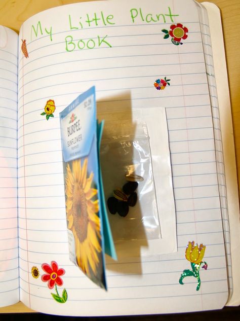 Teaching Science With Lynda: Seed Book out of a Seed Packet-Great Idea for Interactive Notebooks Science Plants, Elementary Science Teacher, Elementary School Science, Science Notebook, Interactive Science, Interactive Science Notebook, Plant Book, Farm Crafts, Mad Science