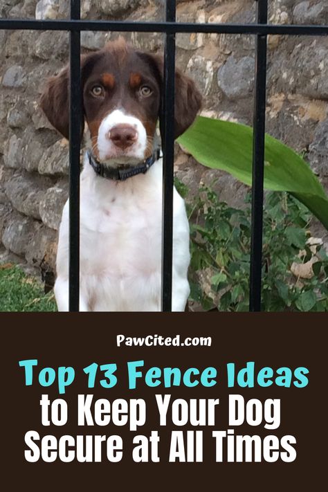 Temporary Fence Ideas For Dogs, Dog Run Fence Ideas, Dog Fencing Ideas, Fencing For Dogs, Backyard Fence Ideas For Dogs, Dog Fence Ideas Backyards, Cheap Fence Ideas For Dogs, Dog Fence Ideas, Pet Fence Ideas