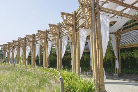 Arches made of bamboo make a walkway and decorated with beautiful white cloth. Bamboo Archway, Bamboo Walkway, Tree Saw, White Cloth, Wedding People, Heart Tree, Cityscape Photos, Nature Backgrounds, Photo Template