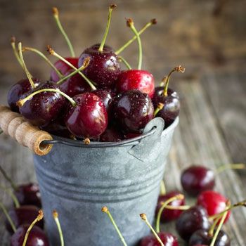 B Black Cherry Tree, Montmorency Cherry, Rainier Cherries, Bing Cherries, Cherry Trees, Cake Central, Mulberry Tree, Fast Growing Trees, Fresh Cherries