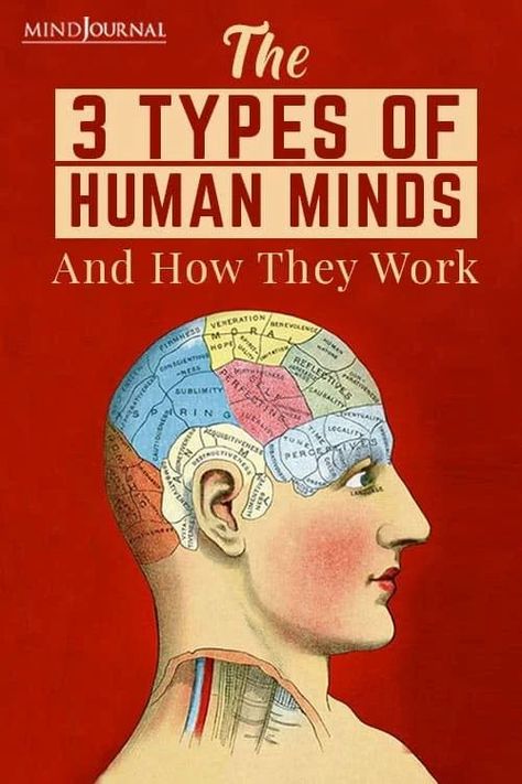 Many scholars, and experts believe that there are three types of human minds, and each of them boast of different qualities, logic, and characteristics. Learning Psychology, Types Of Humans, Human Memory, Spiritual Psychology, Minds Journal, Choices Quotes, Brain Tricks, Recommended Books, Perfectly Timed Photos