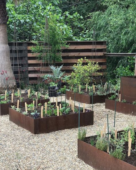 Corten Steel Vegetable Garden, Gravel Herb Garden, Corten Steel Garden Beds, Radish Ideas, Corten Garden, Garden Education, Corten Steel Garden, Homestead Design, Edible Gardens