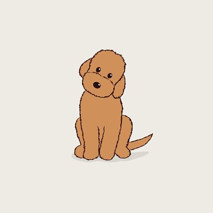 Cartoon Dog Painting, Doodle Dogs Drawings, Labradoodle Drawing Simple, Cartoon Goldendoodle, Labradoodle Illustration, Labradoodle Painting, Labradoodle Drawing, Brown Labradoodle, Goldendoodle Art