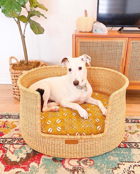 Cute Beds, Dog Bed Ideas, Wicker Dog Bed, Puppy Things, Comfy Dog Bed, Living Room Bohemian, Room Bohemian, Hawaii House, Elevated Dog Bed