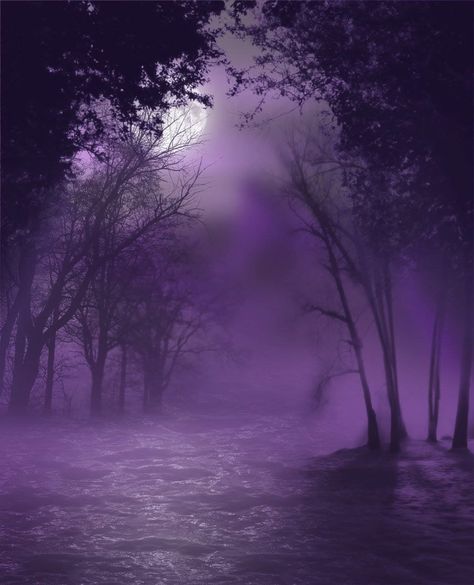 Purple Fog Realm Aesthetic, Dreams Aesthetic, Purple Board, Purple Wallpapers, Matka Natura, Purple Vibe, Lavender Aesthetic, Dark Purple Aesthetic, New Retro Wave