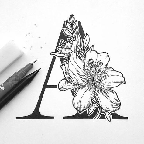 Aaron Lam - freelance Graphic Designer.. | Lettering / Сalligraphy / Typography Inspiration | VK Zentangle Letters, Svg Shapes, Bag Painting, Beautiful Letters, Art Lettering, The Letter A, Lettering Art, Mandala Design Art, Floral Letters