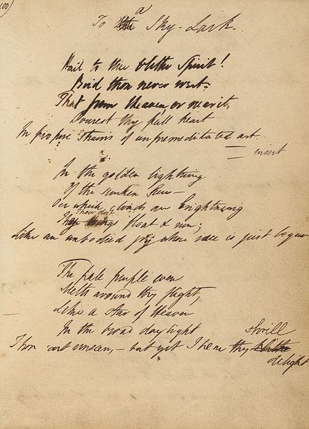 To a Skylark: Percy Bysshe Shelley Dark Academia Letters, Percy Shelley, Percy Bysshe Shelley, Modern Poetry, Poetry Journal, Rhetorical Question, Horror Fiction, Short Poems, Writers And Poets