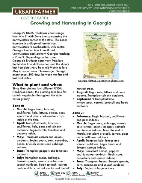 Gardening In Georgia, Garden In Georgia, Georgia Gardening, Southern Gardening, Garden Basics, Vegetable Planting Calendar, Planting Schedule, Georgia Garden, Growing Calendar