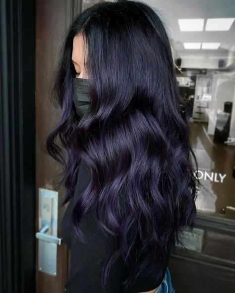 Purple Black Hair, Dark Purple Hair Color, Dark Purple Hair, Plum Hair, Hair Advice, Hair Color Purple, Pretty Hair Color, Hair Dye Colors, Hair Inspiration Color