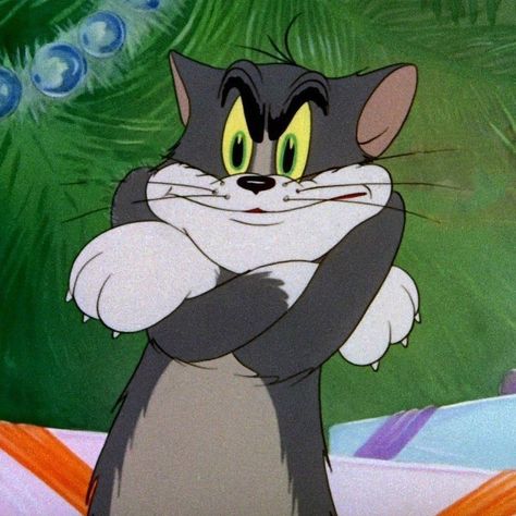 Jerry Images, Tom And Jerry Funny, Tom And Jerry Memes, Tom And Jerry Pictures, Tom And Jerry Wallpapers, Tom Et Jerry, Funny Tom, Tom And Jerry Cartoon, Cartoon Profile Pictures