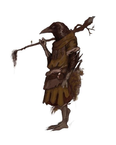 Crow Person, Mythical Art, Irish Mythology, Dnd Races, Crow Art, Heroic Fantasy, Fantasy Races, Dungeons And Dragons Characters, Dnd Art