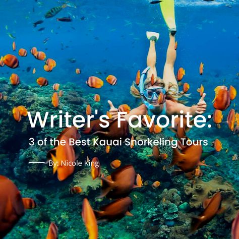 Nicole shares her favorite Tripster article: 3 of the Best Kauai Snorkeling Tours "There is so much to learn about Kauai's top attractions, and I love researching and writing about it because it's my bucket list destination too!" Kauai Snorkeling, Kauai Hotels, Kauai Vacation, Inflatable Rafts, Best Snorkeling, Beachfront Hotels, Shallow Water, My Bucket List, Dinner Cruise