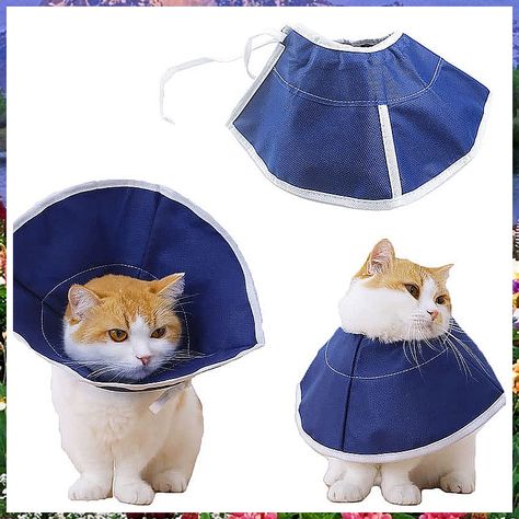 2 PCS Soft Cat Cone Recovery Collar for Cats Kitten Puppy Rabbit,Adjustable E Cone Collar Loops,Cat Anti Licking Protective W Cat Wounds, Dog Cone Collar, Collar For Cats, Cone Collar, Dog Cone, Elizabethan Collar, Soft Cat, Mini Dogs, Cat Help