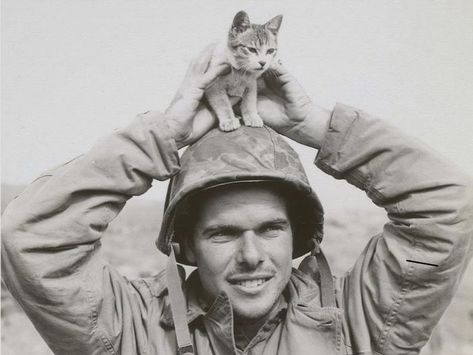 Iwo Jima, A Soldier, Cat People, Fete Anime, Gallery Art, Vintage Cat, Life Magazine, Crazy Cat Lady, Crazy Cats