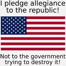 ! Ignorant People, I Pledge Allegiance, Construction Ideas, The Enemy Within, United We Stand, Allegiant, Truth Hurts, American Patriot, Founding Fathers