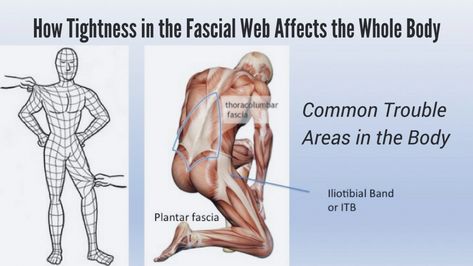 Restoring Wholeness: The Art of Self Myofascial Release | YogaUOnline Myofascial Release Massage, Fascia Release, Pilates Teacher Training, Myofascial Pain Syndrome, Taking Care Of Myself, Muscle Twitching, Lacrosse Balls, Body Flush, Pilates Teacher