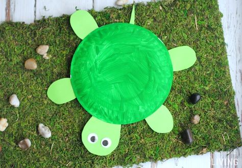 SIMPLISTICALLY LIVING Paper Plate Turtle, Diy Turtle, Paper Flower Wall Hanging, Wall Hanging Ideas, Fun Summer Crafts, Turtle Crafts, Paper Plate Crafts For Kids, Hanging Ideas, Flower Wall Hanging