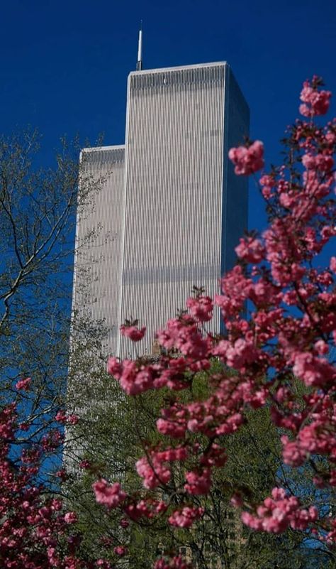 Twin Towers Aesthetic, Patriotic Art Ideas, World Trade Center Pictures, World Trade Center Nyc, The Twin Towers, Patriotic Art, Vintage Airlines, Nothing But Flowers, Landscape Photography Nature