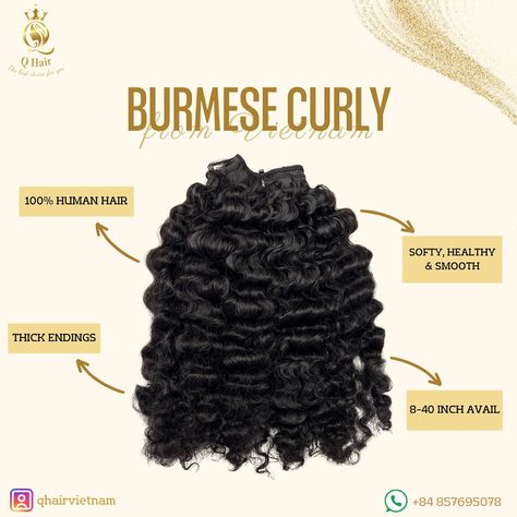 One of our hottest texture of all time - BURMESE CURLY ❤️‍🔥 this texture will create a fluffy look for your hair, making you look more gorgeous and pretty 🌷 We offer 8-40 inch of length, various colors, and we also make other types of hair extensions with burmese curly texture (tape/tip/ponytail/closure/frontal/wig/...) Dont hesitate to DM, or text me via my WA number: WA: +84 857695078 (Felix) ----------- #hairextensions #vietnamhair #qhair #rawhair #burmesecurly #burmesehair #virginhair #... Burmese Hair, Types Of Hair Extensions, Types Of Hair, Raw Hair, Frontal Wig, Burmese, Frontal Wigs, Text Me, 100 Human Hair