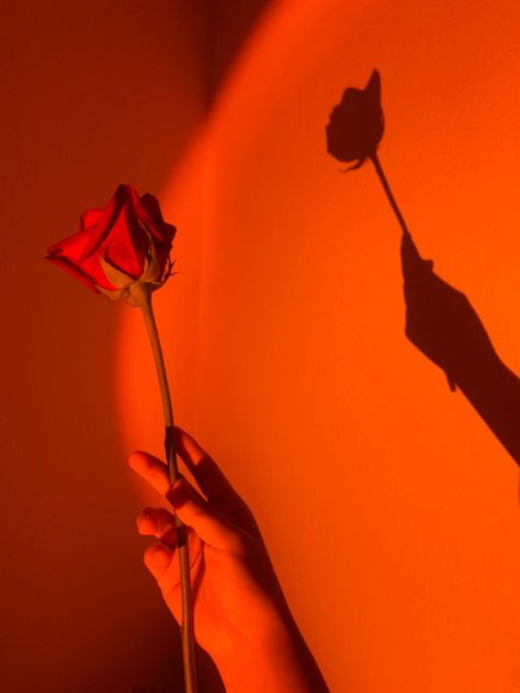 Orange Shadow Aesthetic, Orange Aestethic Wallpaper, Orange Aesthetic Photos, Deep Orange Aesthetic, Orange And Red Aesthetic, Neon Orange Aesthetic, Orange Red Aesthetic, Light Red Aesthetic, Burnt Orange Aesthetic