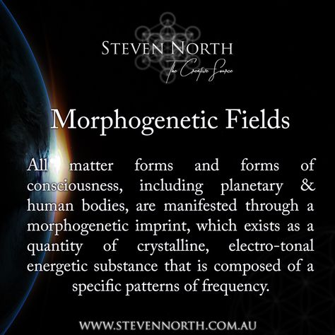 Morphogenetic Field, Forms Of Matter, Quantum Physics Spirituality, Quantum Consciousness, Spiritual Care, Energy Consciousness, The Therapist, Awakening Consciousness, Chaos Magic