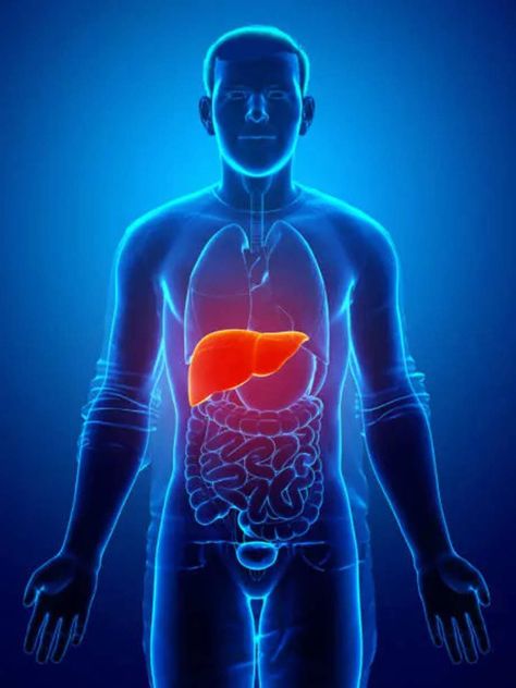 Foods for a strong, healthy liver| Times Now Liver Image, Get Rid Of Nausea, Lower Inflammation, Healthy Liver, Good Foods To Eat, Liver Health, Photo Story, Healthy Fats, Health Benefits