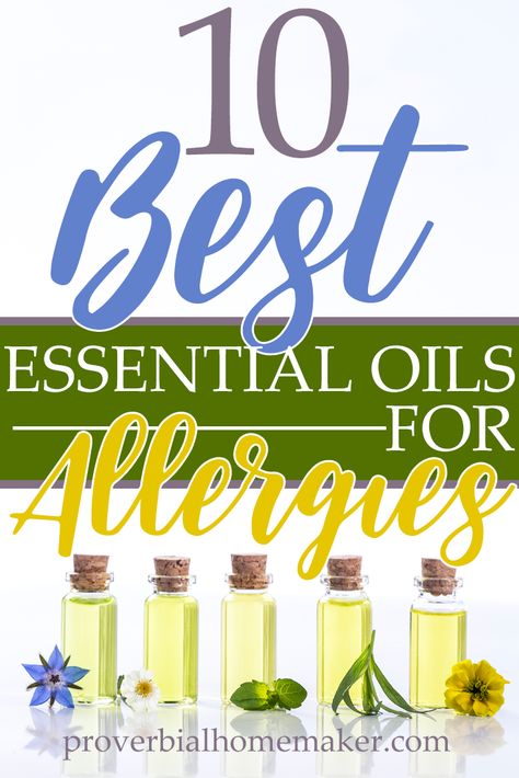 Suffering from seasonal allergies? Try one or more of these 10 best essential oils for allergies and get some relief! Allergy Diffuser Blend, Essential Oils For Allergies, Oils For Allergies, Essential Oils For Asthma, Essential Oils Allergies, Natural Allergy Relief, Natural Asthma Remedies, Natural Remedies For Allergies, Essential Oil Safety