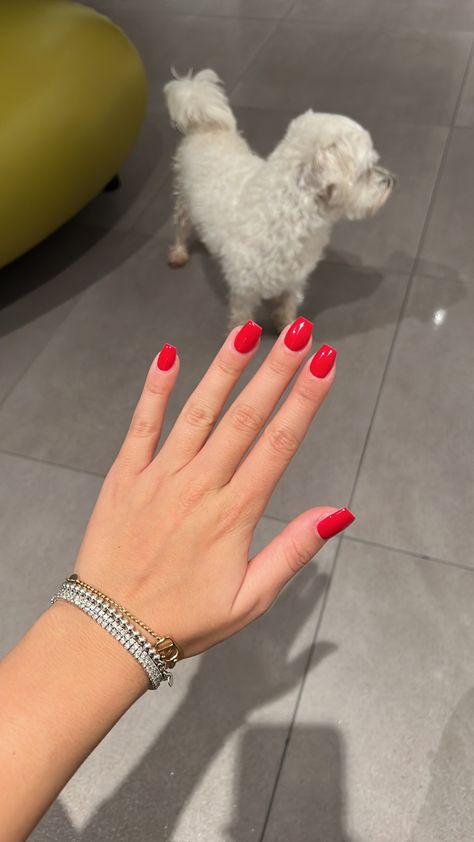 Red Gel Nails Short Square, Candy Red Nails Short, Red Nail 2023, Trendy Nails Red Square, Red Tapered Square Nails Short, Red Shirt Square Nails, Red Builder Gel Nails, Red Gel Nails Square, Summer Gel Extension Nails