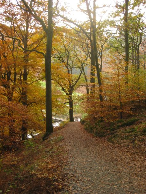 Autumn in the Lake District Cottage Autumn, Autumn Hygge, October Half Term, Lake District England, Autumn Lake, Fall Break, The Lake District, Break In, Beautiful Lakes