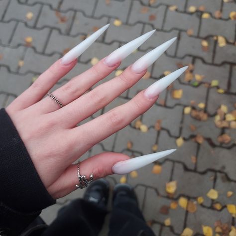 white nails:33 Pointy Acrylic Nails, Long White Nails, Talon Nails, White Stiletto Nails, Acrylic Nails Stiletto, Stilleto Nails Designs, Long Stiletto Nails, Sassy Nails, Claw Nails