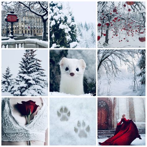 Pictures For Mood Boards, Mood Board Animals, Animal Moodboard Aesthetic, Deer Moodboard, Oc Moodboard Aesthetic, Character Mood Boards Aesthetic, Red Cute Aesthetic, Book Mood Board, Animal Moodboard