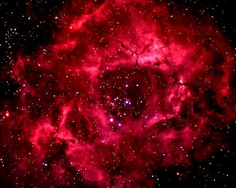 Supernova Remnant, Emission Nebula, Wallpaper Horror, Red Nebula, Rose Galaxy, Rosette Nebula, Red Galaxy, Faith Evans, Elephant Images