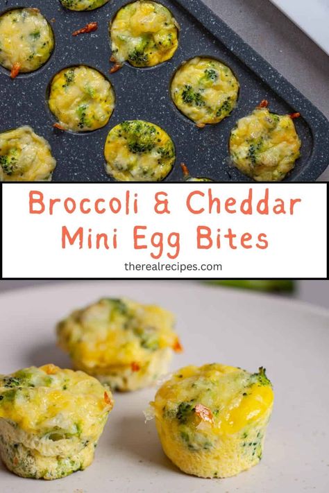 This grab-and-go recipe for Mini Egg Bites with Broccoli and Cheddar is perfect if you find yourself constantly short on time for breakfast. They are a simple vegetable-packed breakfast that is perfect for meal prep. Brocolli Egg Bites, Broccoli Cheddar Egg Bites, Toddler Egg Bites, Broccoli Egg Bites, Mini Egg Bites, Broccoli And Cheddar, Broccoli Bites, Packed Breakfast, Egg Bites Recipe