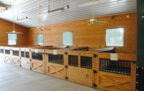 Palomina Lane Stable Mini Stalls Mini Horse Barn, Miniature Horse Barn, Dog Boarding Ideas, Hotel Pet, Dog Boarding Facility, Dog Boarding Kennels, Indoor Dog Kennel, Dog Kennel Designs, Goat Barn