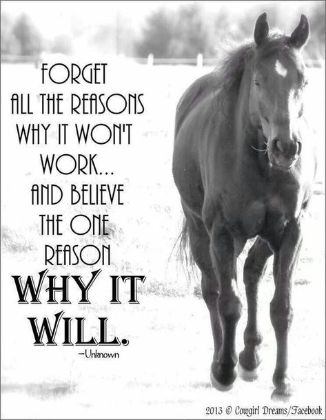 (1) Pinterest Horse Quote, Horse Meme, Inspirational Horse Quotes, Horse Riding Quotes, Equestrian Quotes, Cowgirl Quotes, Riding Quotes, Good Morning Quote, Morning Quote