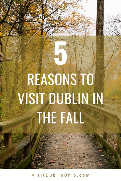 Ohio Fall, Dublin Ohio, Destination Marketing, Visit Dublin, Ohio Travel, Fall Things, Pumpkin Flavor, Fall Fun, In The Fall