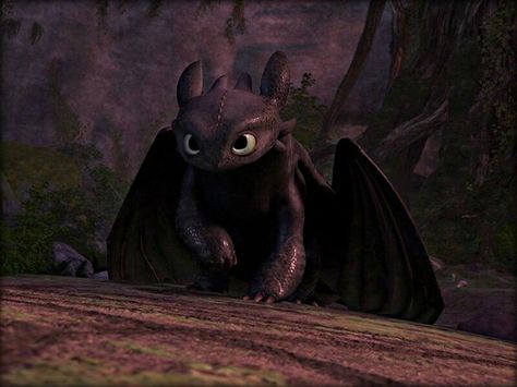 How to train your dragon Toothless The Dragon, Toothless Wallpaper, Cute Toothless, Httyd Toothless, Toothless Night Fury, Dragons Riders Of Berk, Night Fury Dragon, Dragon Wallpaper, Toothless Dragon