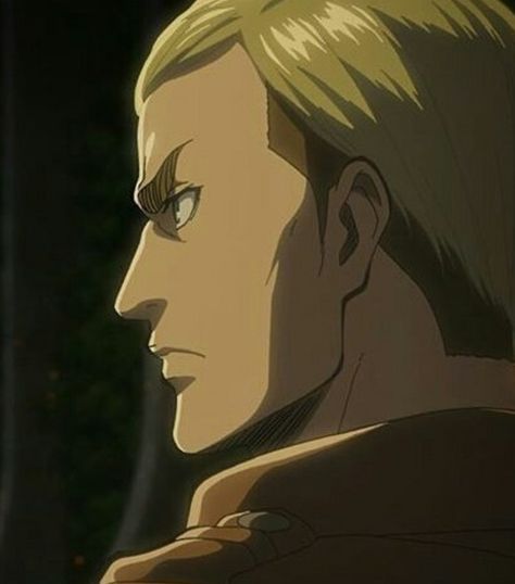 Scouts Aot, Aot Erwin Smith, Erwin Levi Hanji, Aot Veterans, Annie Attack On Titan, Commander Erwin, Attack On Titan Icons, Erwin Smith, Side Profile