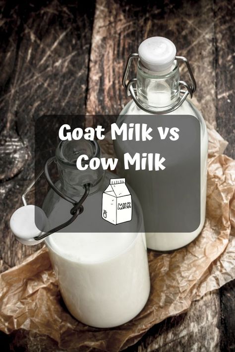 Goat milk vs cow milk – who’s the winner in this lactose face-off? Goat Milk Benefits, Milk Benefits, Cow Milk, Cooking 101, Goat Farming, Kitchen Must Haves, Milk Cow, Cooking Inspiration, Latest Recipe