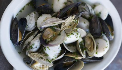 How to clean clams and mussels before cooking How To Clean Mussels, How To Cook Clams, Clams And Mussels, How To Clean Clams, Plr Articles, Tomato Broth, Ripe Tomatoes, Wild Food, Diet Supplements