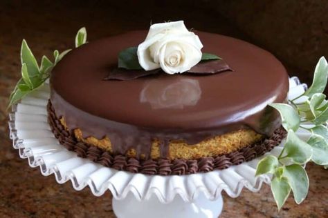 Desserts Pumpkin, Chocolate Mousse Desserts, Mousse Cheesecake, Pumpkin Yogurt, Chocolate Sauce Recipes, Desserts Ideas, Thanksgiving Desserts Easy, Dark Chocolate Ganache, Mousse Dessert